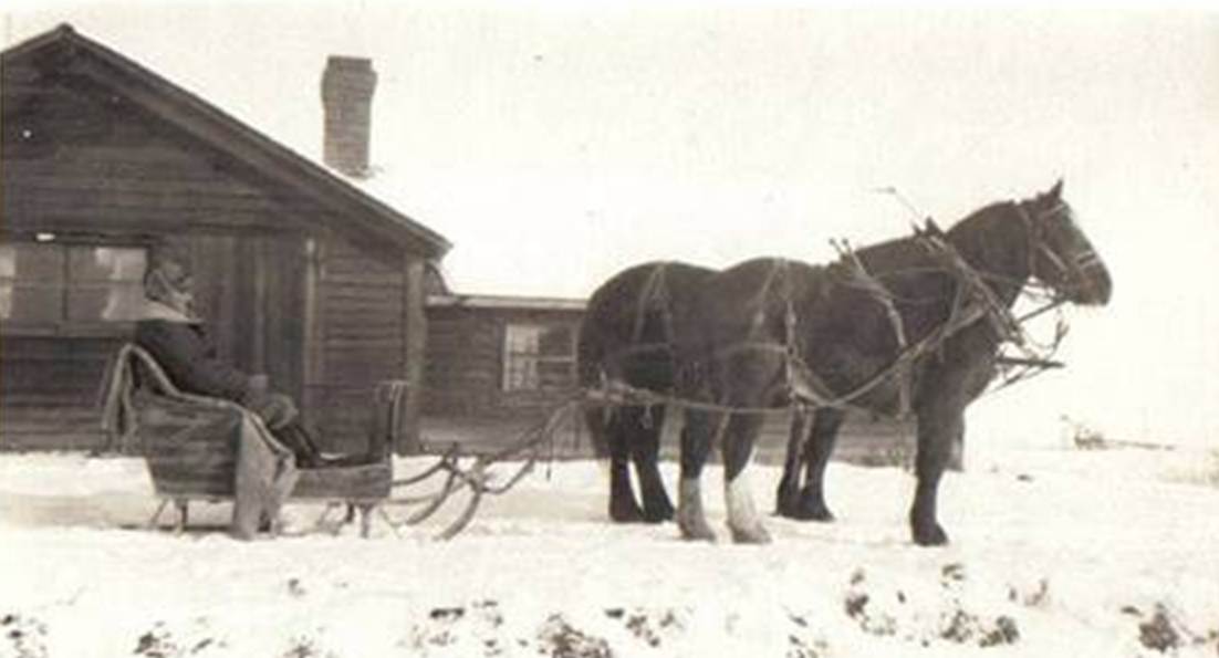 A horse pulling a sleigh and a person riding a horse
Description automatically generated
